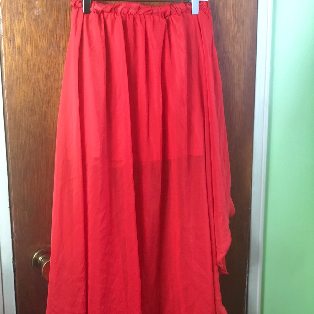Sheer Spring Skirt